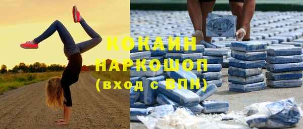 молекула духа Балахна
