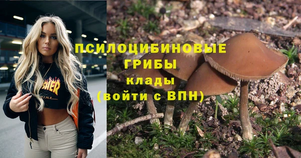 apvp Баксан