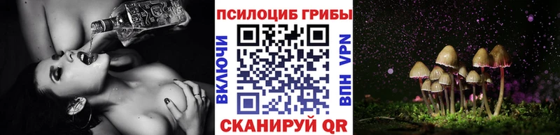 OMG сайт  Красный Холм  Галлюциногенные грибы ЛСД 